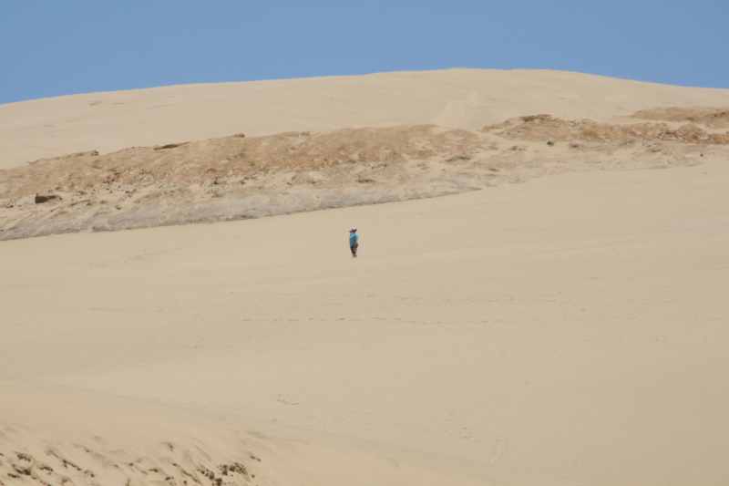 Nieuw-Zeeland 2011 - 0367